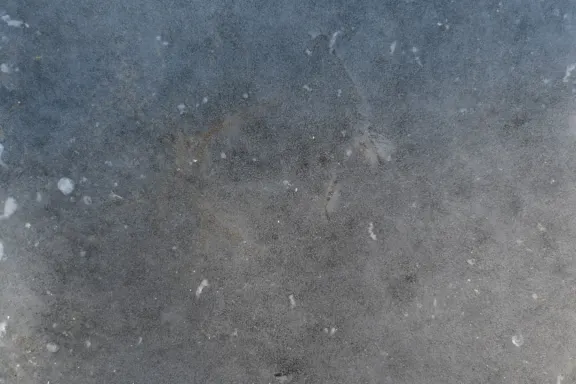 Casino Coins Game Tugi